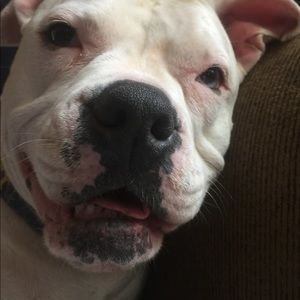 Meet your Posher, Wintersnow